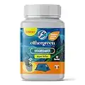 Eithergreen COMPACT Disgregante elimina odori per acque reflue per WC portatili , toilette da campeggio, bagno chimico. Sanificante disgorgante per acque nere - 15 bustine da 15g