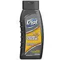 Dial for Men Antibacterial Body Wash, 24 Hour Odor Armor 16 fl oz(pack of 2)