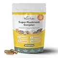 Suplemento de 6 Hongos – Reishi, Melena de León, Cordyceps, Chaga, Shitake y Maitake. 120 Cápsulas. 500mg Por Cápsula. Fórmula de Alta Resistencia para el Apoyo del Sistema Inmunológico y Bienestar