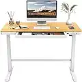 FLEXISPOT EW8 Scrivania Regolabile in Altezza Scrivania Elettrica Scrivania Motorizzata Scrivania Altezza Regolabile Standing Desk con Funzione Touch e Porte USB（Acero）