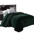 Exclusivo Mezcla Double Size Flannel Bed Blanket, 230x168 CM Soft Waffle Fleece Blanket, Velvet Plush Blankets as Bedspread/Coverlet/Bed Cover, Forest Green Blanket