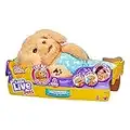 Little Live Pets Charlie Cozy Dozys Puppy interactive cuddly dog toy with sounds, bedtime cuddles, pacifier blanket included.