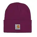 Carhartt Kids' Acrylic Watch Hat, Purple, 2-4T