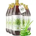 Aloe Vera Saft 100% BIO [NEU] - Einführungsangebot - 6 Liter - Direktsaft, gefiltert - Premium Qualität mit 1.200mg Aloverose, kontrolliert und abgefüllt in Deutschland