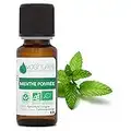 Aceite esencial de menta orgánica - 100% puro y natural - HEBBD y EcoCert - Perfume fresco y mentyole - Aceite esencial con muchas virtudes y aplicaciones - 5 ml - Vosthuiles