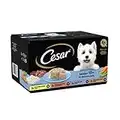 Cesar 7+ Wet Dog Food Jelly for Senior, 8 x 150g