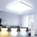 OTREN Plafoniera LED Soffitto Dimmerabile, 36W Lampadario Bagno con Telecomando, IP44 Impermeabile Luce Soffitto per Camera da Letto Soggiorno Corridoio Ufficio, 3000K-6500K, 30CM