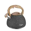 POLIVIAR Tea Kettle, 2.7 Quart Natural Stone Finish with Wood Pattern Handle Loud Whistle Food Grade Stainless Steel Teapot, Anti-Hot Handle and Anti-Rust, Suitable for All Heat Sources (JX2018-GR20)