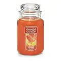 Yankee Candle Autumn Leaves Scented, Classic 22oz Large Jar Single Wick Candle, Over 110 Hours of Burn Time