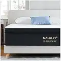 Queen Mattress,Molblly 10 inch Hybrid Memory Foam Mattress, Individually Wrapped Coils Innerspring Mattress Queen Size, Medium Firm Mattress Supportive & Pressure Relief