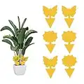 Fruit Fly Trap, 6 Pack Sticky Fruit Fly Killer and Fungus Gnat Killer for Indoor Plants Fly Trap Gnat Trap Yellow Sticky Traps Fungus Gnats Fly Traps Insect Killer for Houseplant Indoor Outdoor Plants