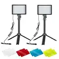 NEEWER 2 Packs Portable Photography Lighting Kit Dimmable 5600K USB 66 LED Video Light with Mini Adjustable Tripod Stand and Color Filters for Table Top/Low Angle Photo Video Studio Shooting