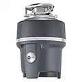 Garbage Disposer Compact 3/4 HP Evolution Compact, Gray