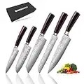 SANDEWILY Ultimate 5PCS Chef Knife Set - Ultra Sharp Japanese Knives with High Carbon Stainless Steel Blades and Ergonomic Pakkawood Handle in an Elegant Gift Box