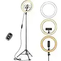 10" LED Ring Light avec Extensible Trépied Haut, Anneau Lumineux Réglable avec 3 Modes d'Eclairage et 10 Niveaux, Lumiere Photo pour Selfie, Photography, Video, Maquillage, Camera Vlog Bluetooth