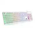 LANGTU Membrane Gaming Keyboard, Rainbow LED Backlit Quiet Keyboard for Office, USB Wired All-Metal Panel 25 Keys Anti-ghosting Computer Keyboard 104 Keys - L1 White/Silver