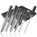 NANFANG BROTHERS Damascus Kitchen Knife Set, 6 Pieces 67 Layer Handmade VG10 Steel Core Forged Professional Knife Set with Premium Box