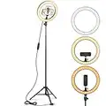 Ring Light 10" with 67" Extended Tripod Stand & Phone Holder for YouTube Video, Camera Led Ring Light for Streaming, Makeup, Selfie Photography Compatible with iPhone Android