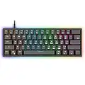 60% Mechanical Gaming Keyboard - 61 Keys USB Ergonomic Keyboard with 9 Colors RGB Adjustable Backlights Compatible with All PC/Computer/Laptop - Tenkeyless(TKL) & Gaming Grade Anti-Ghosting