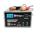 Etrogo Cargador Bateria Plomo de Coche 12V 24V 10A Intelligent de Pulso con Pantalla LED a Barra-Gris