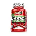 AMIX - Suplemento Deportivo Gamma Oryzanol en 120 Cápsulas - Ayuda al Incremento de la Testosterona - Contribuye a Aumentar la Fuerza y Masa Muscular - Suplemento Alimenticio