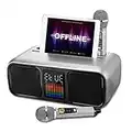 HIUYRFS Karaoke Bluetooth Casse Karaoke Portatile con 2 Microfono Wireless Karaoke Professionale Completo, Supporto Bluetooth, AUX, Scheda USB/TF, per Bambini, Adulti, Riunioni, Picnic (Argento)