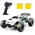 Tecnock RC Car Remote Control Car for Kids, 1:18 High Speed 20 KM/H 2WD RC Buggy, 2.4GHz Off Road Racing Car with Two Rechargeable Batteries, Gift for Boys and Girls (White)