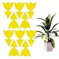 10 Pack Fruit Fly Traps Yellow Fungus Gnat Killer, Double-sided Sticky Fruit Fly Killer Fly Paper Bug Insect Catcher Fly Trap Fly Insect Control for Houseplant Indoor and Outdoor (Flower)