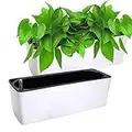 Fasmov 2 Pack Rectangle Self Watering Planter with Water Level Indicator, Window Gardening Box, Decorative Planter Pot for All House Plants Flowers Herbs, Modern Decorative Planter Pot, 16x 5.5 Inch
