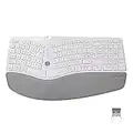Wireless Ergonomic Split Keyboard with Cushioned Palm Rest Against Carpal Tunnel, DELUX [Standard Ergo] Keyboard Series, Multi-Device Connection, Compatible with Windows, Mac OS (GM901D-White)