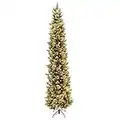 National Tree Company Carolina Pencil Pine 12 Ft Artificial Holiday Prelit Christmas Tree with 1000 White Lights, Pinecones, 1900 Branch Tips & Stand