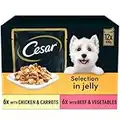 CESAR Pouch Selection in Jelly, Fresh Adult Wet Dog Food Pouches in Delicious Jelly with Succulent Meats and Vegetables, 48 x 100 g