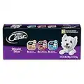 CESAR Classic Loaf in Sauce Wet Dog Food Delicacies Variety Pack, 24x100g Trays