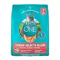 Purina ONE Natural Dry Cat Food, Tender Selects Blend With Real Salmon - 7 lb. Bag