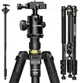77” DSLR Camera Tripod for Travel - NIANYISO Compact Tripod for Camera, Professional Tripod with 36mm 360 Degree Ball Head, Lightweight Aluminum Camera Tripods & Monopods Load up to 33 lbs