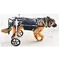 SYTH Hunderollstuhl Wheels Dog Wheelchair Für mittelgroße Hunde,Hundehund Rollstuhl Hinterbein Rehabilitation für Behinderten, 2 Räde 4 Größe Wählen Sie,15-60 kg