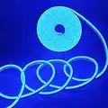 EverBright Led Neon Strip Lights, 12V Led Neon Rope Light Indoor Outdoor, Silicone 16.4Ft 600SMD Blue Led Light Strip, Led Rope Waterproof Flexible for Signboard Bar Home Building Decoration (No Power Adapter)