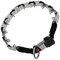 HS Sprenger - Collar adiestramiento Neck Tech con púas cierre lock acero inoxidable