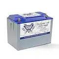Battle Born Batteries LiFePO4 Deep Cycle Battery - 100Ah 12v Lithium Battery w/Built-In BMS - 3000-5000 Deep Cycle Rechargeable Battery - RV/Camper, Marine, Overland/Van, and Off Grid Battery