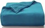 WAVVE Plaid Couverture Polaire Flanelle en Microfibre, Jeté de Canapé 220x240 Bleu Canard, Couverture lit Jete de Canape 2 Personnes, Plaid Fourrure Grand Chaud et Doux en Peluche, Turquoise 240x220