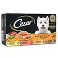 CESAR Repas pour Chien - 24 Barquettes (Lot de 6 Packs de 4x150g) - Pâtée pour Chien en Terrine au Coeur de Légumes - au Boeuf / Poulet / Volaille / Dinde, avec des Ingrédients Naturels