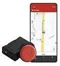 TRACKTING SMART Europa (SIM Internazionale) Antifurto GPS localizzatore per Auto, Moto, Camion - eSIM integrata Senza Canone - No cavi - Lo attivi in 5 minuti - Notifiche di parcheggio - Chiamata telefonica di allarme - Tracciamento in tempo reale in caso di furto - Sempre Attivo - Batteria record che dura mesi