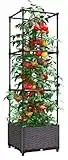 Bepatio Raised Garden Bed with Trellis, Large Garden Bed for Indoor Outdoor Plants, Plastic Planter Box for Vegetables Herb, 52"H Tomato Cage with Trellis for Vegetables Herb Flower 16"D x 16"W x 52"H