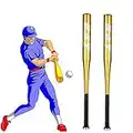 HagieNu 2 Packs 25 Inch Baseball Bat Aluminum Alloy Self-Defense Softball Bat Youth Baseball for Youth Outdoor Sports Traing/Practise/Home 25 inches (Gold)