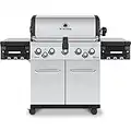 Broil King Regal S 590 Pro Natural Gas Grill - Premium 5-Burner Stainless Steel BBQ