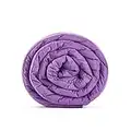 TONGDADA Kids Weighted Blanket | 40''x60'',10lbs | for Child Between 80-125 lbs | Premium Cotton Material with Glass Beads | Purple