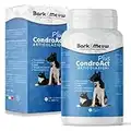 CondroAct Plus Integratore Articolazioni Cane e Gatto - Condroprotettore con Artiglio del diavolo, Glucosamina, Condroitina, MSM e Cozza Verde. Supporta articolazioni, ossa e cartilagini 120 Compresse