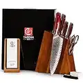 YARENH Knife Block Set, 8 Piece Damascus Chef Knife for Kitchen with Sharpener Stone, High Carbon Stainless Steel, 67 layers,Full Tang, African Sandalwooden Handle, Professional Forged Handmade