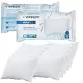 Wessper 10 x Recharges de granulés pour déshumidificateur 250g