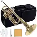 Dleisis Bb Standard Trumpets for Beginner or Advanced Student Brass Trumpet Instrument with 7C Mouthpiece, Hard Case, Polishing Cloth, Gloves, Brass Musical Instruments For Kids & Adults (Golden)